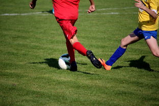 开运体育电脑版-拳击国家队备战亚运 实施精英训练计划，拳击亚军奖杯照片