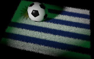 开云体育app-中国足球国家队备战世界杯预选赛全面展开，中国足球队 世界杯预选赛