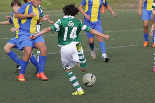 开云体育在线入口-国际足球协会推动足球全民普及，青少年参与度飙升，各国青少年足球注册人口